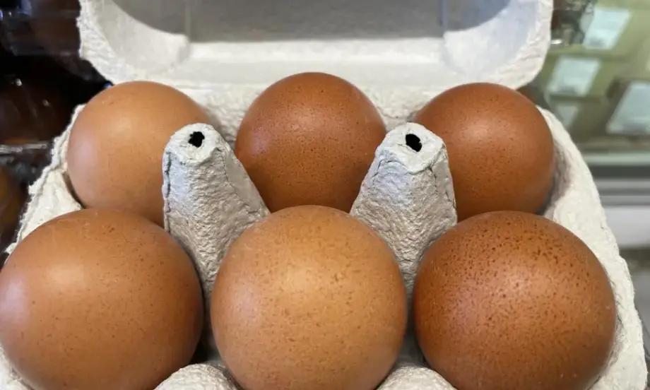 Все по-близо до Великден: Ще поскъпват ли яйцата? - Tribune.bg