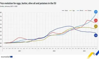 Цените на храните в ЕС: Зехтинът е поскъпнал със 75% от януари 2021 г.