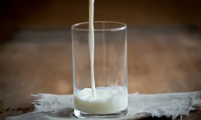 Ел Би Булгарикум: Търговците слагат големи надценки на млякото