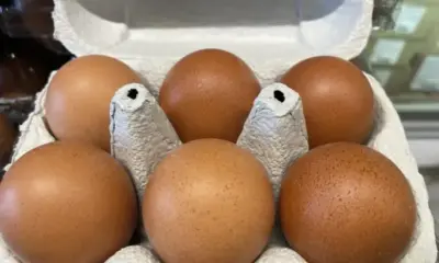 Все по-близо до Великден: Ще поскъпват ли яйцата?