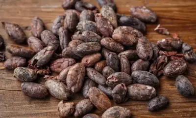 Заради опустошена реколта: Борсовите цените на какаото стигнаха 46-годишен връх в Ню Йорк