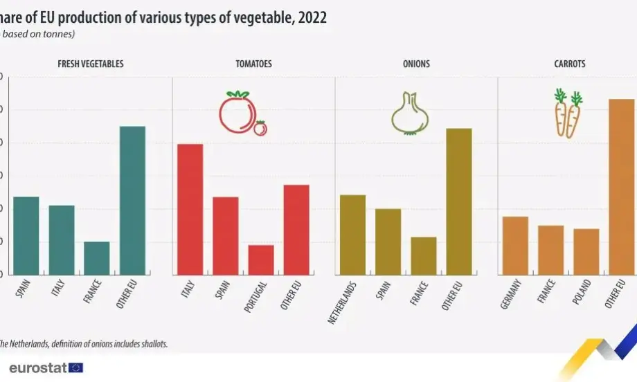 Испания е била водещ производител на пресни зеленчуци в ЕС през 2022 г. - Tribune.bg