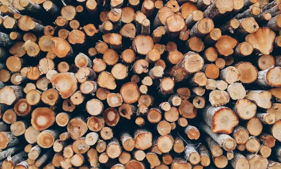 До 300 лв. струва кубик дърва за огрев без транспорт – цените ще продължат да растат - Tribune.bg