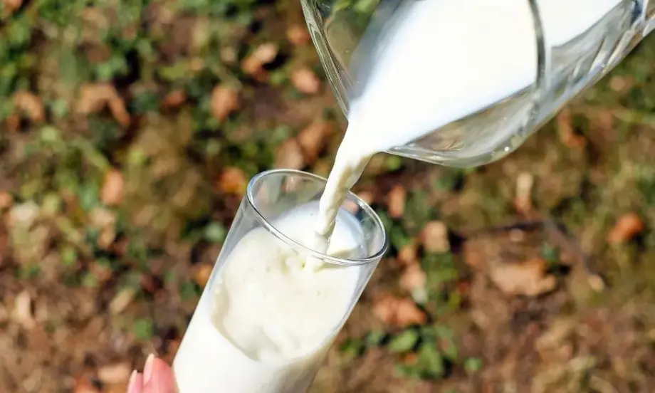 Отпускат 1,8 млн. лева за производителите на млечни продукти, чрез петгодишна програма - Tribune.bg