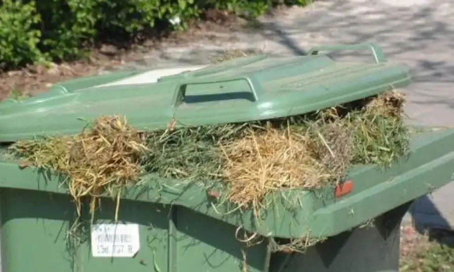 Белгиецът изхвърля месечно храна за над 300 евро в боклука - Tribune.bg