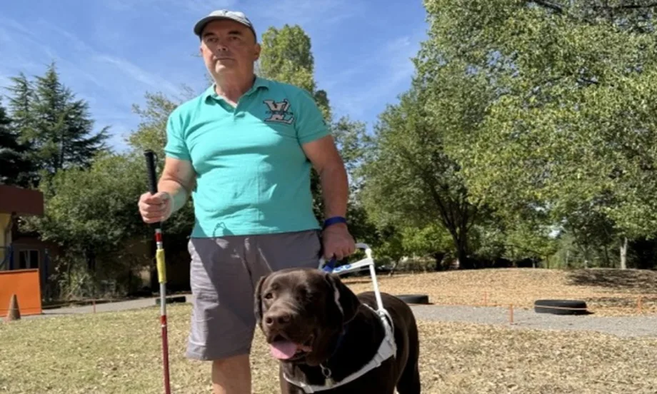 Приемни семейства на малки герои с големи сърца - Tribune.bg