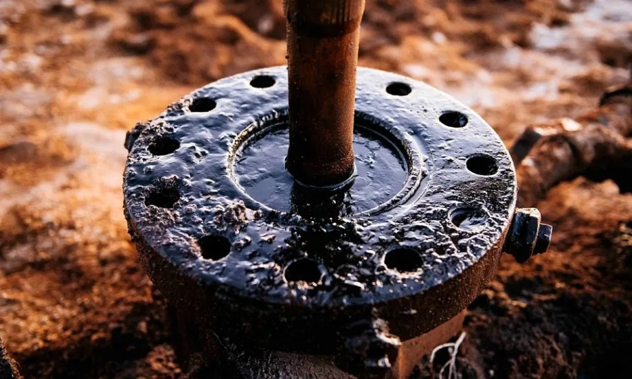Казахстан ще започне да доставя петрол на Германия през Дружба в близките дни - Tribune.bg