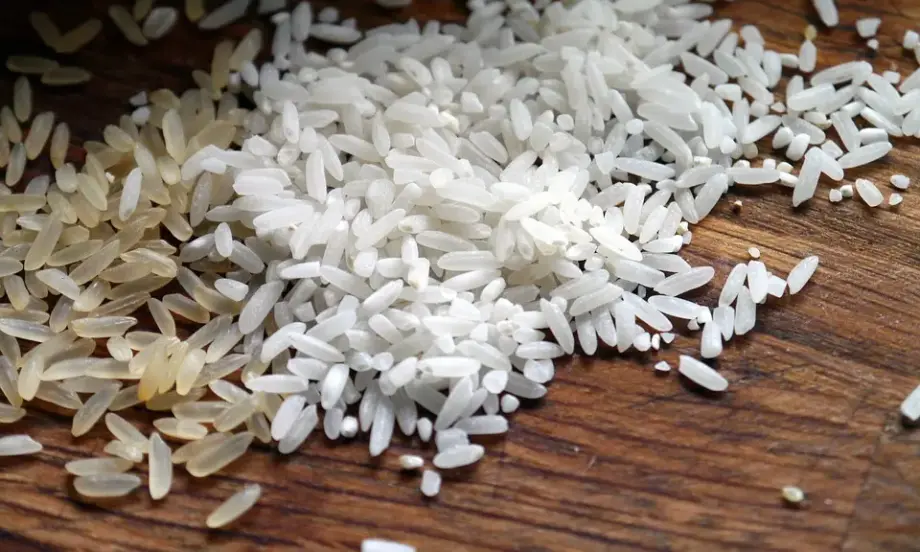 Прогноза: Оризът ще поскъпне с 10% - Tribune.bg