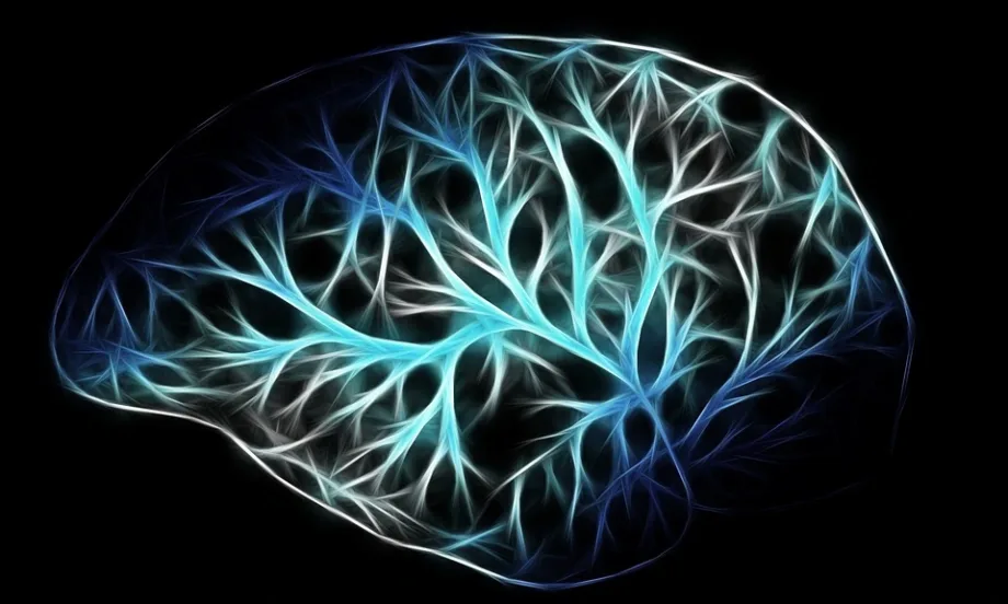 Илон Мъск очаква до шест месеца да започнат тестове на мозъчен чип върху хора - Tribune.bg