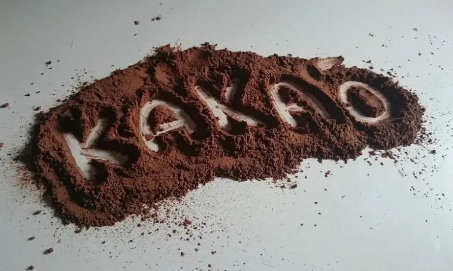 Ръстът на цената на какаото се успокоява - Tribune.bg