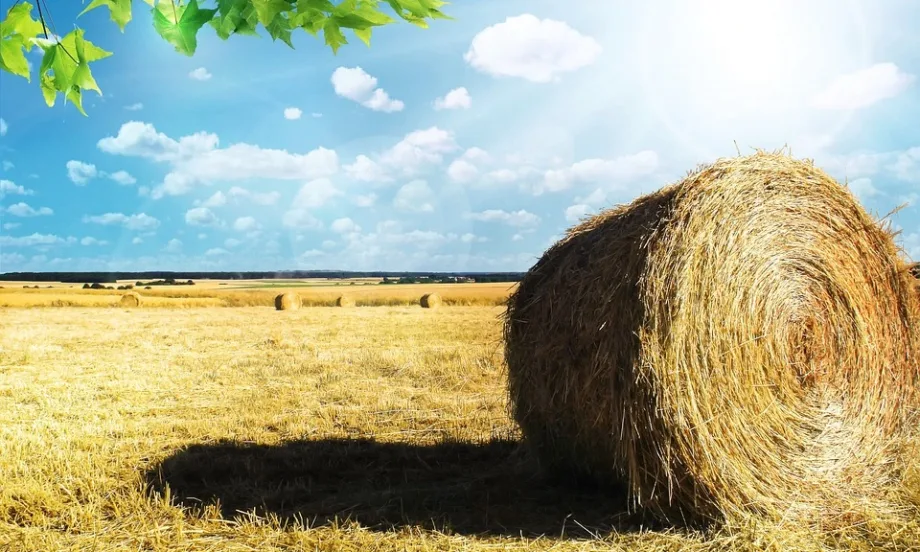 Икономист: Проблемът на земеделците няма връзка с вноса от Украйна - Tribune.bg