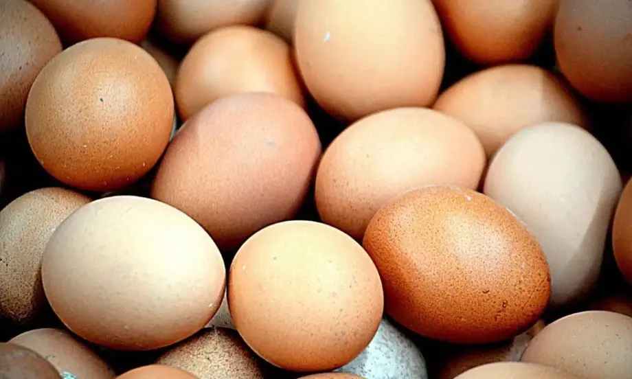 Птицевъд: Яйца и пилешко месо от Украйна се преетикетират и се продават у нас като български - Tribune.bg