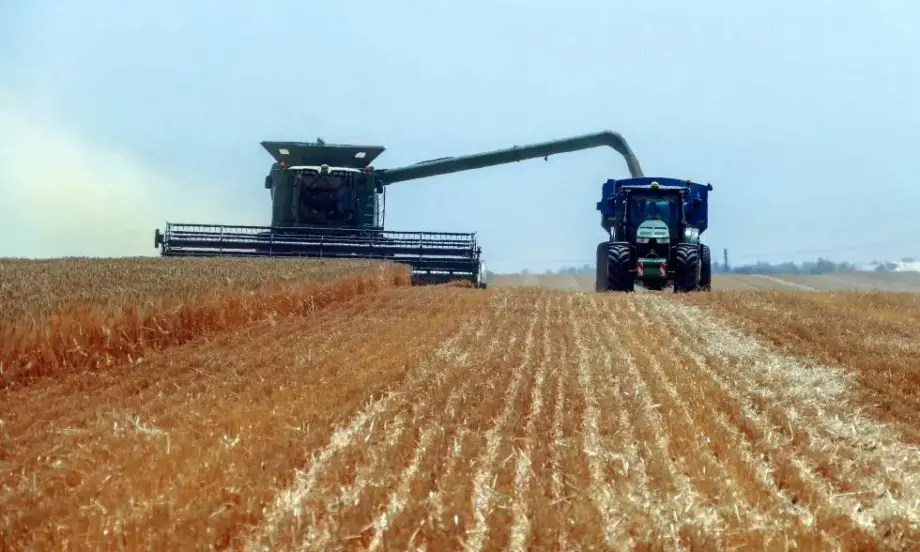 Латвия наложи забрана за внос на зърно от Русия и Беларус - Tribune.bg
