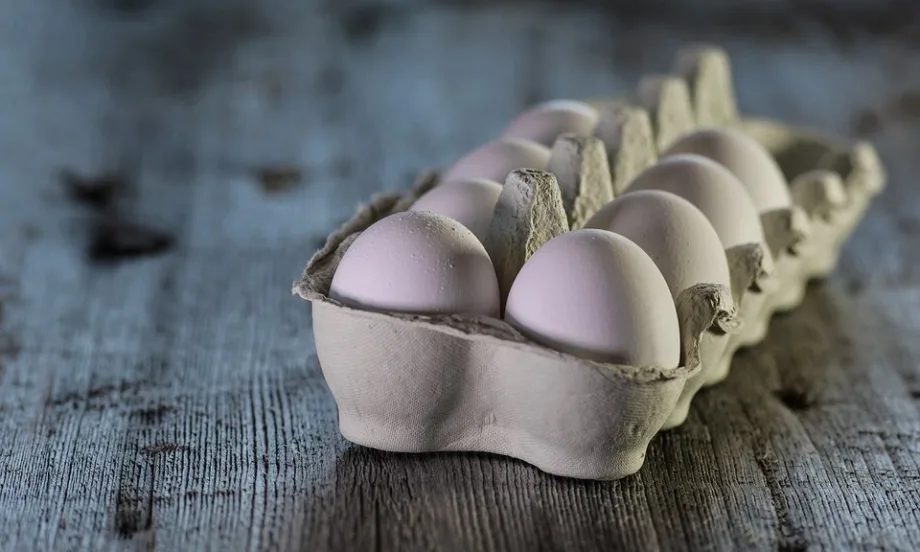 БАБХ: Пробите на украинските яйца са отрицателни, годни са за продажба - Tribune.bg