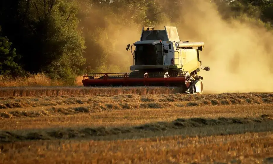 Зърнопроизводители: Очакваме по-ниски добиви на пшеница и ечемик, загуби и ръст на цените - Tribune.bg