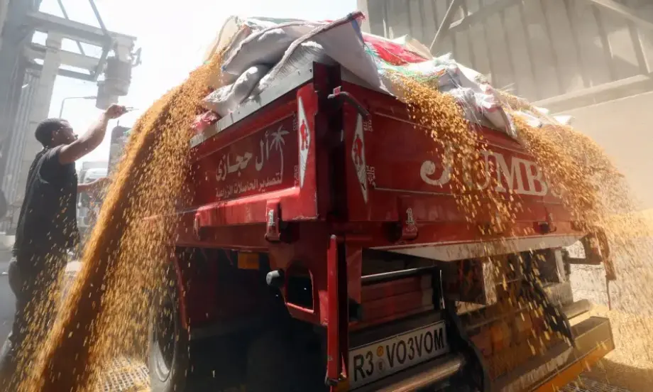 Египет купува близо половин милион тона руска пшеница в частна сделка - Tribune.bg