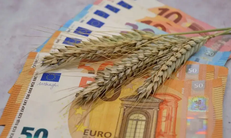 Пшеницата и царевицата по световните борси поевтиняват, освен във Франция, където има лек ръст - Tribune.bg