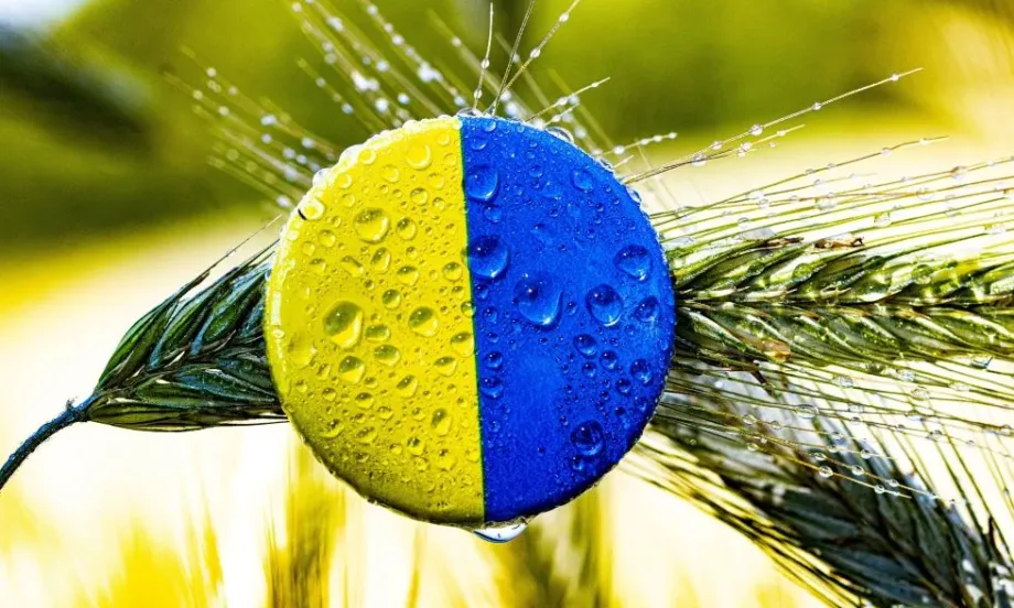 Полша иска от ЕС да бъде ограничен вноса на зърно от Украйна - Tribune.bg