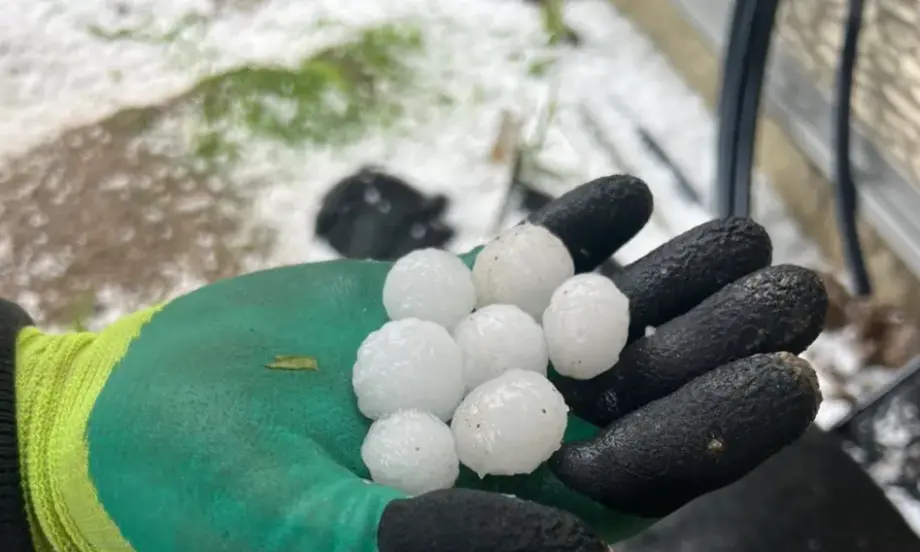 След мощната градушка: Земеделците с унищожена реколта имат право на обезщетение - Tribune.bg