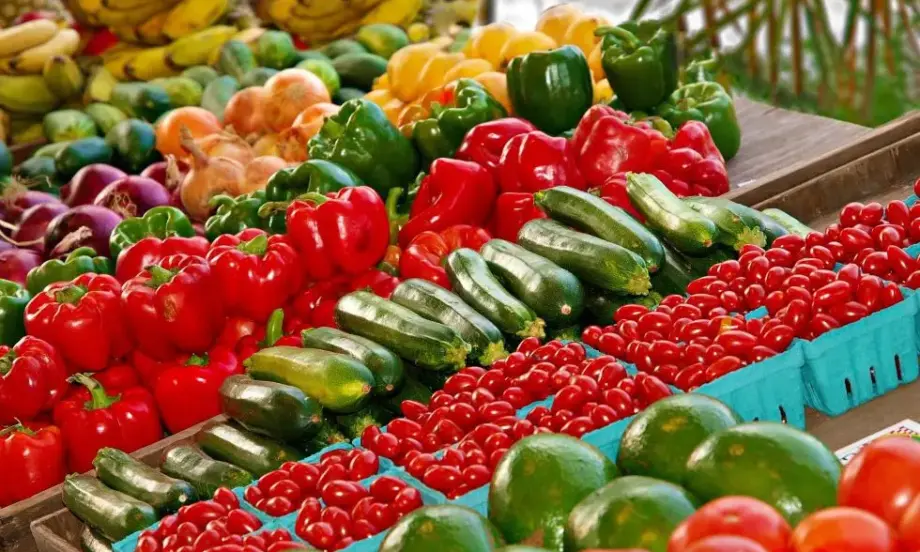 България е внесла над 55 000 тона зеленчуци и близо 66 000 тона плодове само за първите два месеца на 2023 г. - Tribune.bg