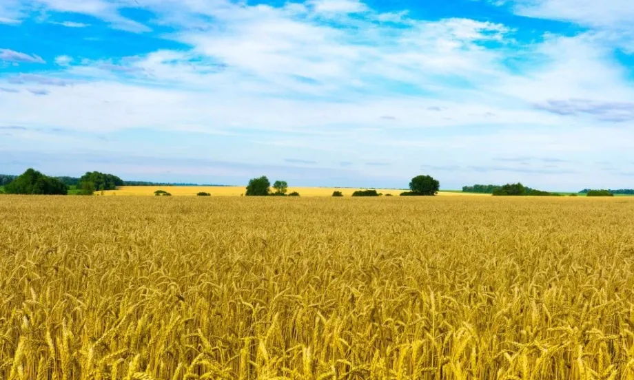 В размер на 8,7 млрд. долара са щетите за селскостопанския сектор в Украйна от началото на войната - Tribune.bg