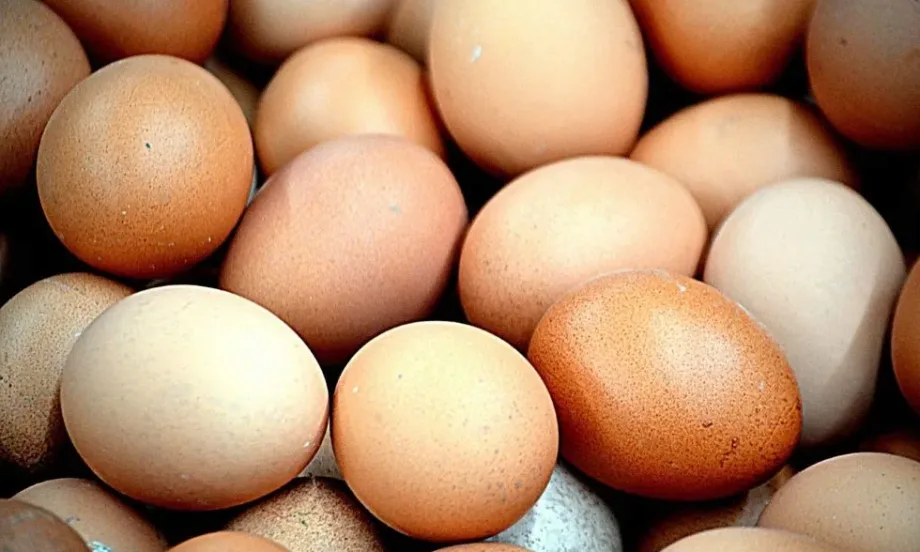 България е на четвърто място в ЕС по поскъпване на яйцата - Tribune.bg