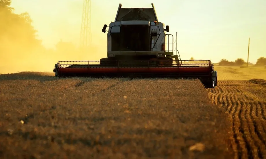 По световните борси: Спадът в цените на пшеницата и царевицата продължава - Tribune.bg