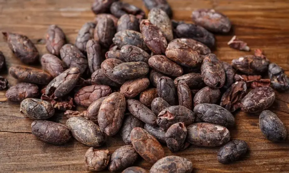 Заради опустошена реколта: Борсовите цените на какаото стигнаха 46-годишен връх в Ню Йорк - Tribune.bg