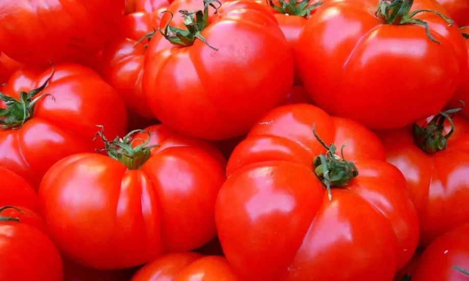 Рекордни цени в Румъния: Килограм домати - 26 лв., а килограм краставици - 14 лв. - Tribune.bg
