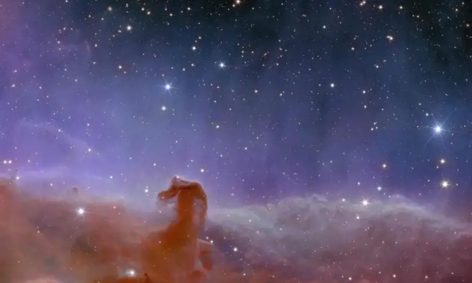 Ето първите изображения от европейския космически телескоп Евклид (СНИМКИ И ВИДЕО) - Tribune.bg