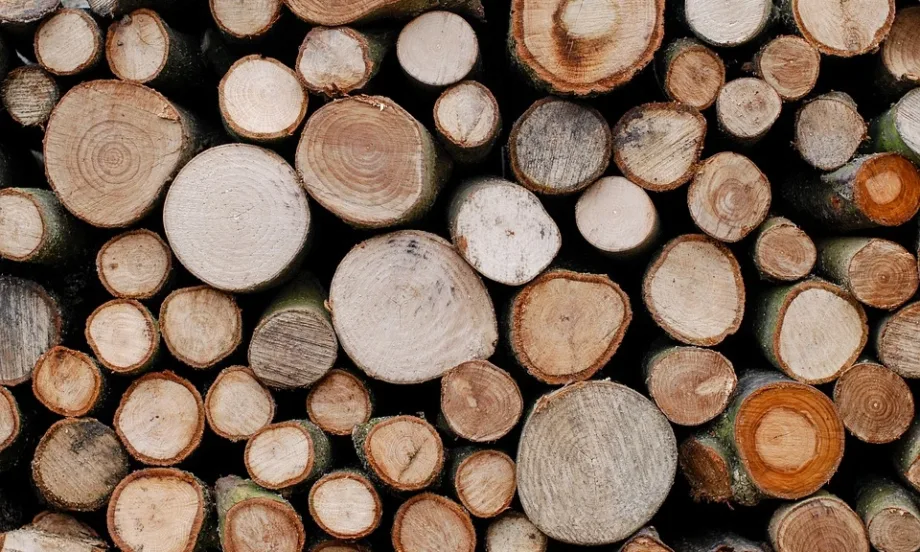 Високи цени: Заводи спират работа заради дървесината - Tribune.bg