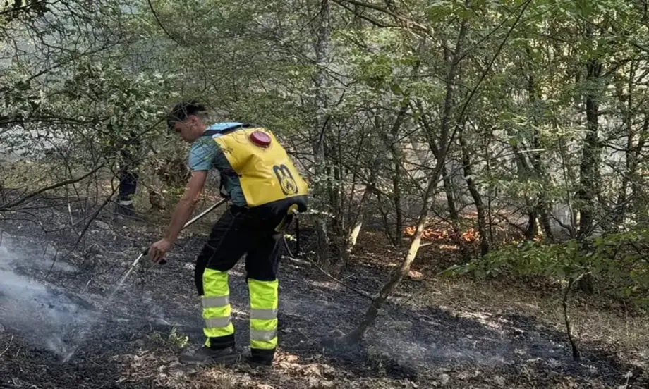 Земеделските производители осигуряват техника и помощ срещу пожарите - Tribune.bg