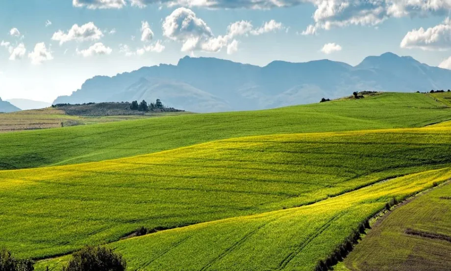България е сред страните от ЕС с най-малко поскъпване на селскостопанските продукти - Tribune.bg