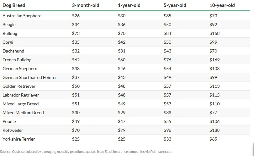 MarketWatch