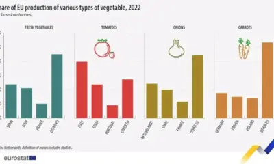 Испания е била водещ производител на пресни зеленчуци в ЕС през 2022 г.