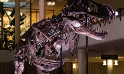 За първи път в Европа: Продадоха на търг цял скелет на Тиранозавър рекс за над 6 млн. долара (СНИМКИ)