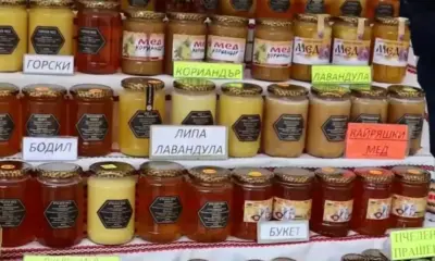 Пчелари: Заради евтиния украински внос, цената на българския мед пада и тонове продукция залежава