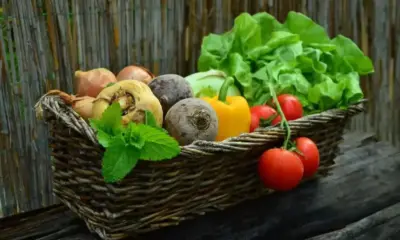 ИТЦ с нов ръст: Поскъпват основни хранителни стоки и повечето плодове и зеленчуци
