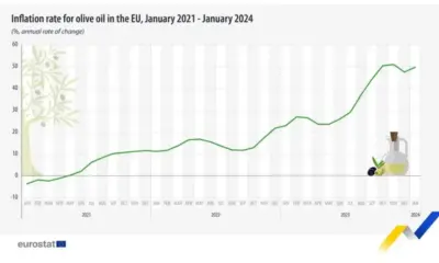 Цената на зехтина скочи с 50% за една година в ЕС