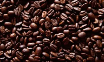 Кафето в Европа поскъпва – сорта Робуста с 15-годишен световен ценови връх