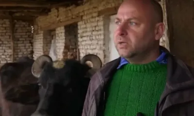 Животновъд: Пасища няма, колегите изнемогват, не остана истинско мляко в България - проблемите са много