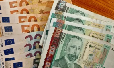 Изтеглянето на левовете може да приключи до края на месеца (ВИДЕО)