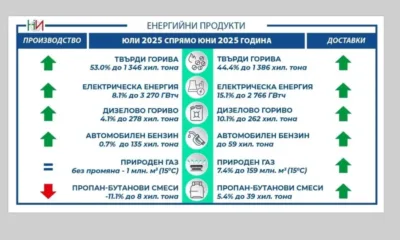Най-голямо нарастване при производството на енергийни продукти през юли у нас е отчетено при твърдите горива