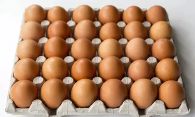 Започват проверките за качеството на месото и яйцата преди Великден