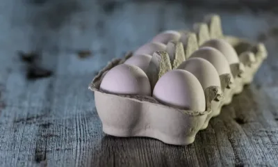 БАБХ: Пробите на украинските яйца са отрицателни, годни са за продажба