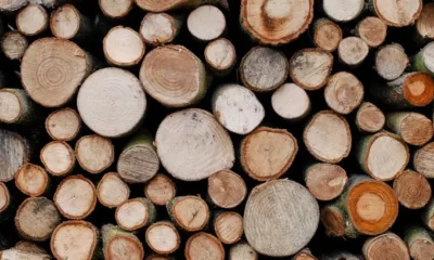 Земеделският министър: Ще се справим с кризата с дърва за огрев