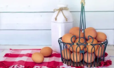 Ново поскъпване на яйцата не се очаква преди Великден