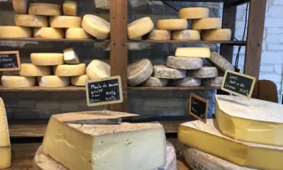 Кои страни от ЕС са произвели най-много сирене през 2024 г.