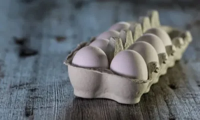 БАБХ потвърди за внесени 2,6 млн. яйца от Украйна и Латвия