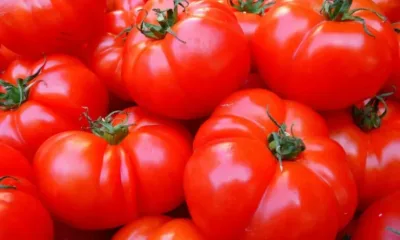 Тенденция: Ще изчезнат ли наистина българските домати от родните пазари?